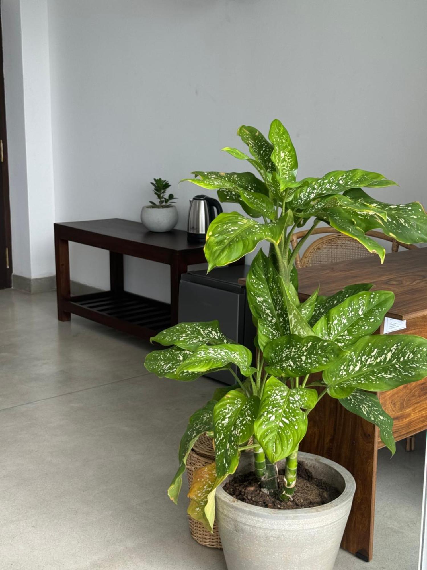 Sapiens Home - Weligama Bay Exteriér fotografie